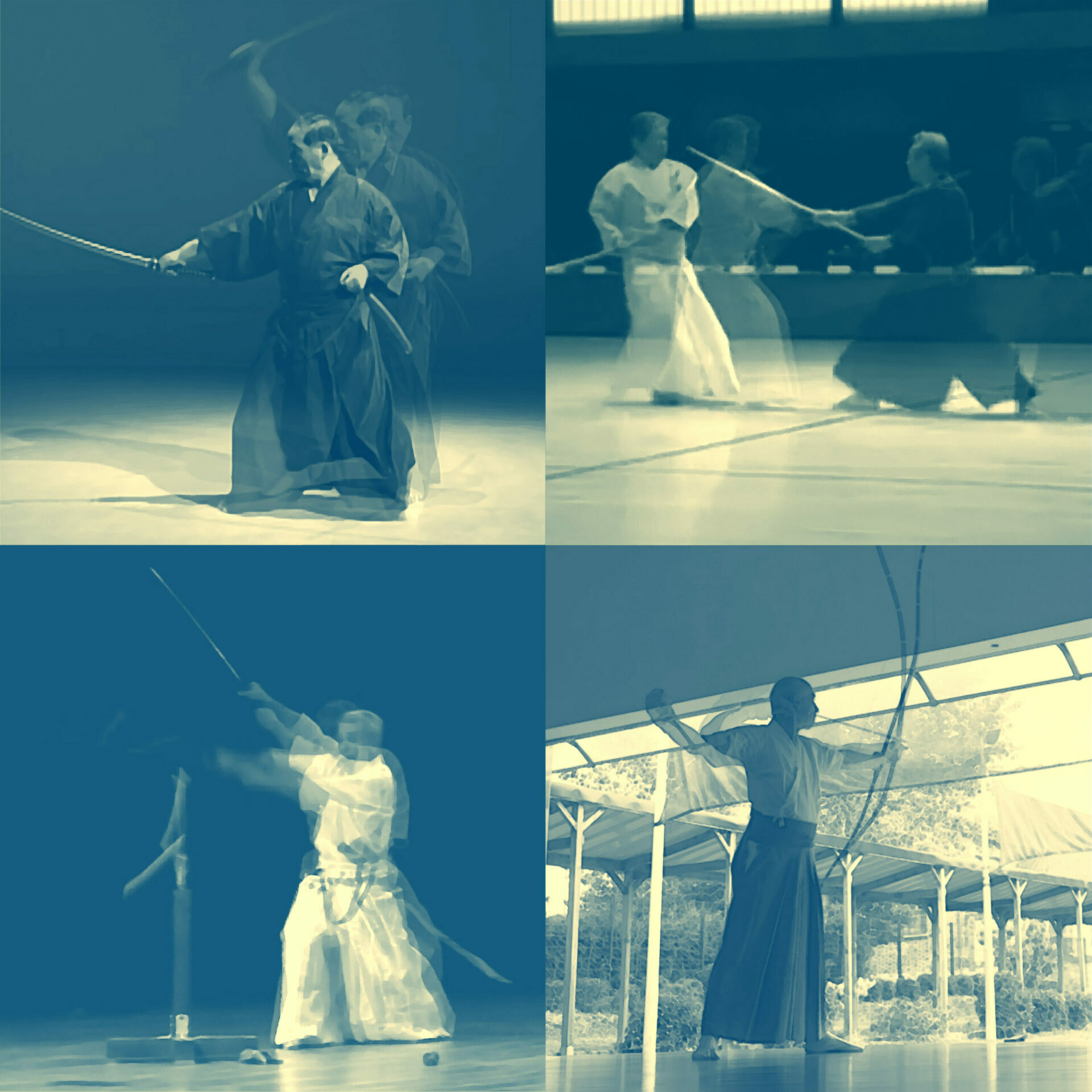Les arts martiaux ou l'esprit des Budô | Amazon.com.br
